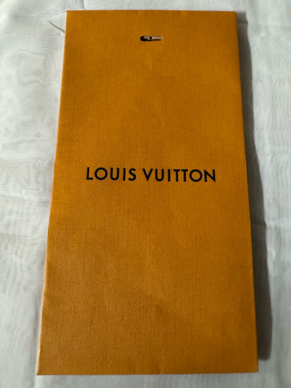 Louis Vuitton 💯% Authentic iconic paper envelope bag — Like New. Ideal for gifts